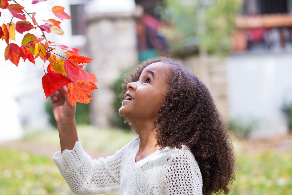 Autumn